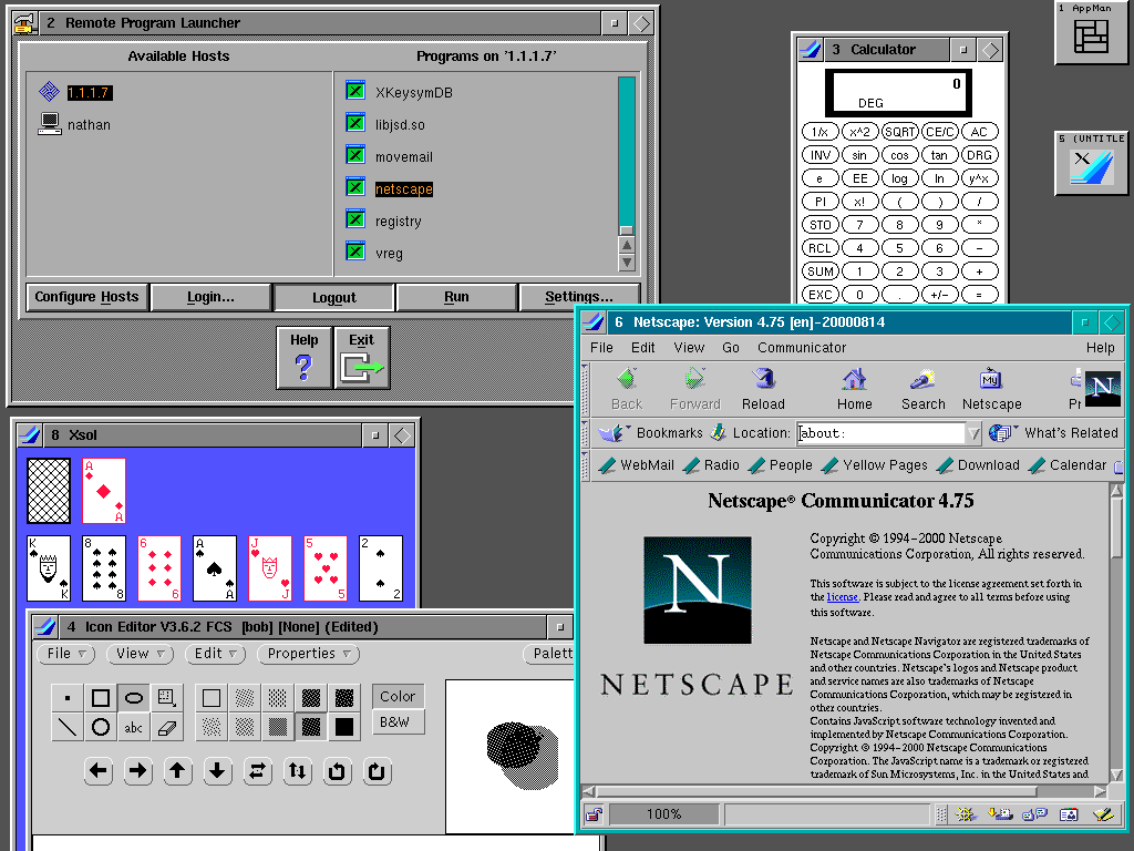 An X terminal running various X11 applications hosted on a remote server